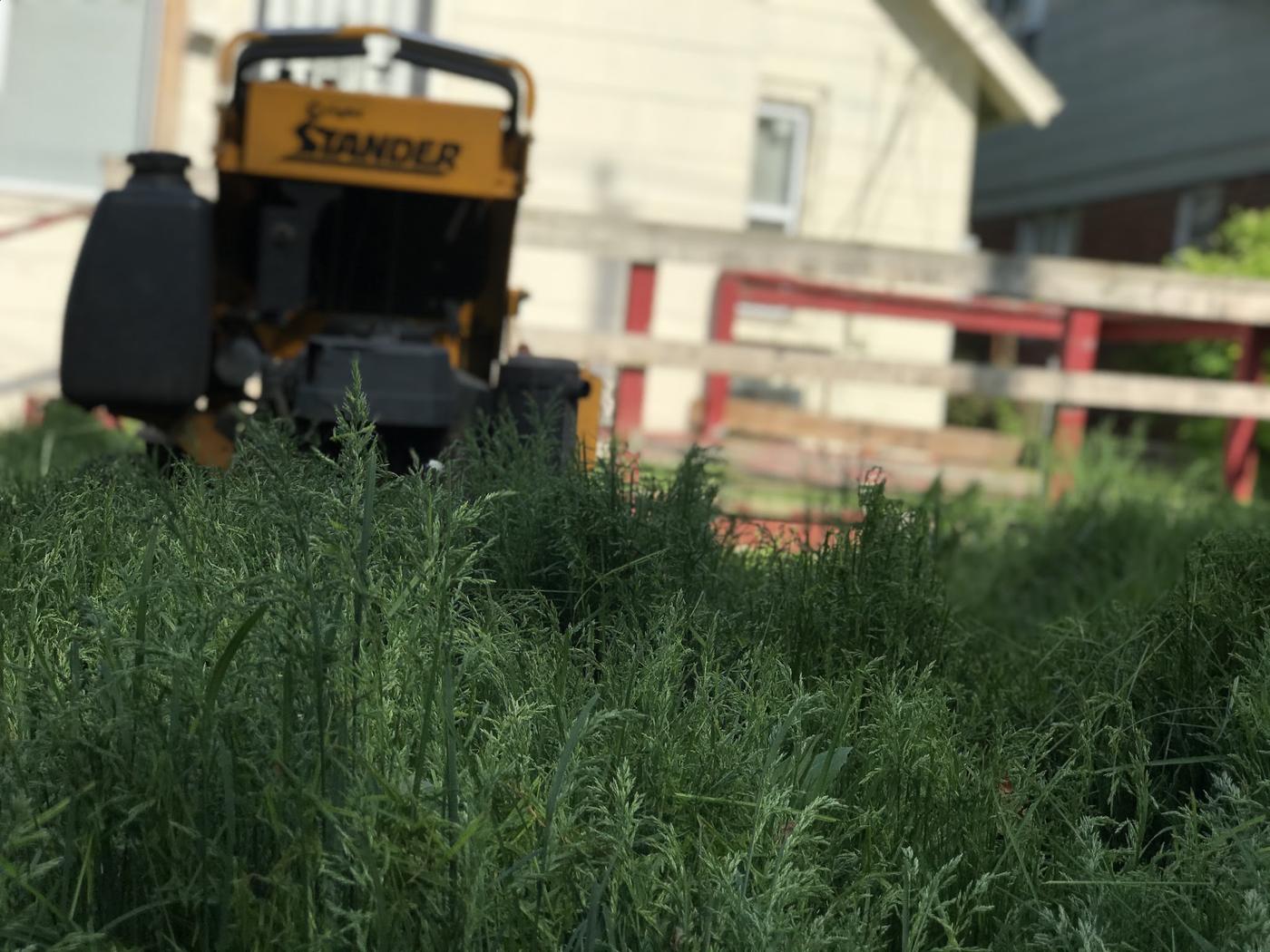 Stand-on mower parked in long grass before a cut