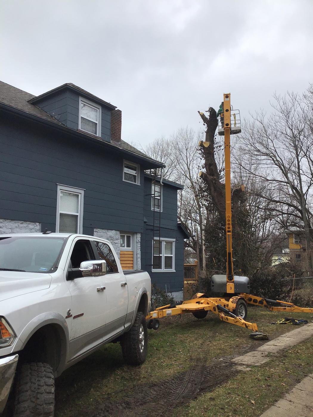 Tree removal underway using a towable boom lift