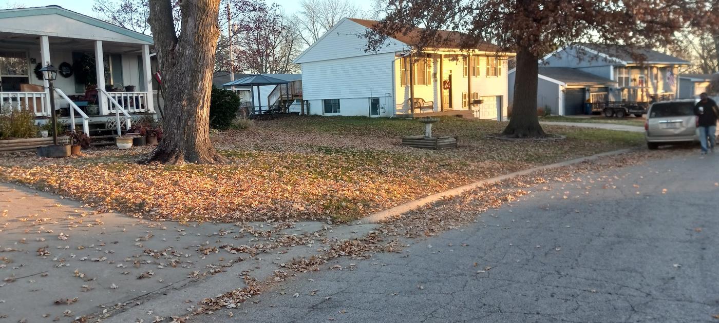 Leaf covered front lawns along a street before a clear down